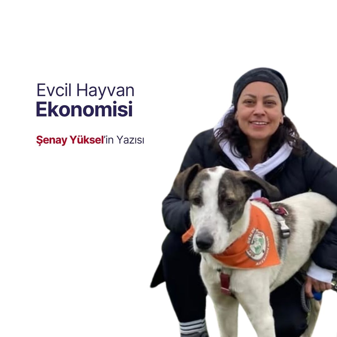 Evcil Hayvan Ekonomisi