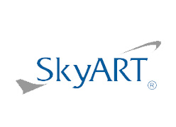 SkyArt Havacılık